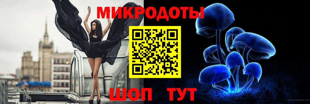 Галлюциногенные грибы Cubensis  Вход с VPN  Усть-Илимск 